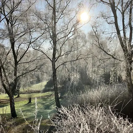 Δωμάτια σε οικογενειακή κατοικία Gaestehaus Zur Burggraefin Manderscheid