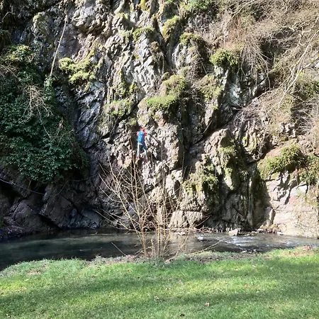 Séjour chez l'habitant Gaestehaus Zur Burggraefin Manderscheid