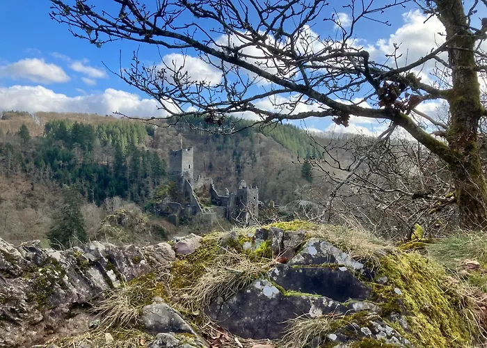 Gaestehaus Zur Burggraefin Homestay